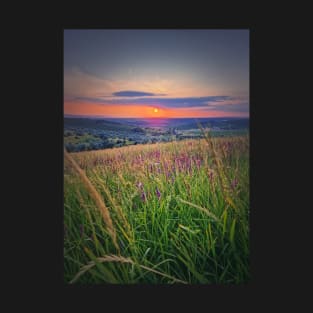 Summer sunset over the green valley T-Shirt