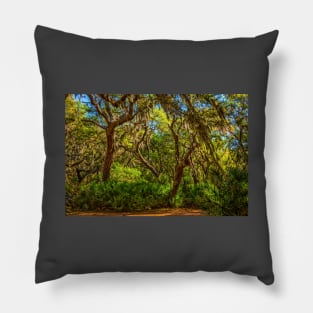 Cumberland Island National Seashore Pillow