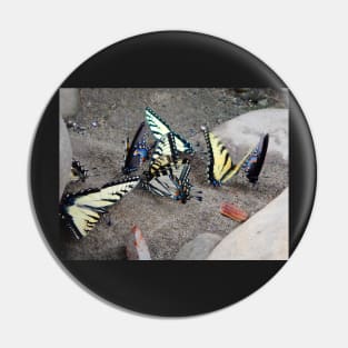 Butterfly Congregation Pin