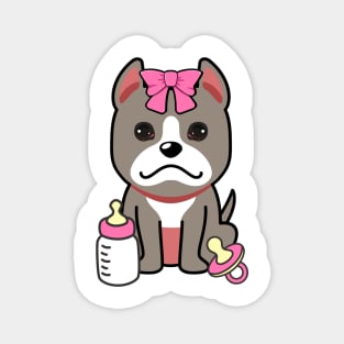 cute baby grey dog wears a pink ribbon Magnet