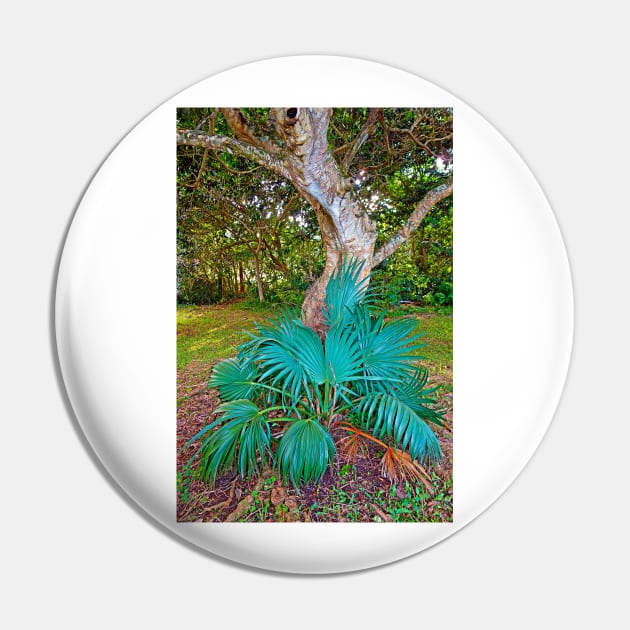 Curves and Fronds Pin by bobmeyers