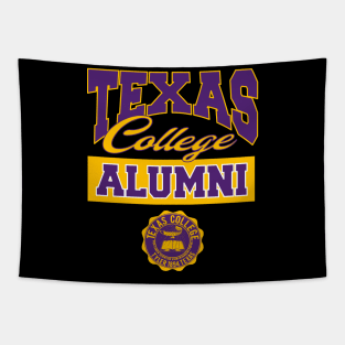 Texas 1894 College Apparel Tapestry