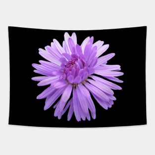 purple flower, flowers, nature, blooms, violet Tapestry