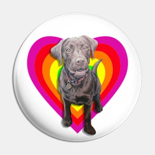 Gorgeous chocolate labrador in a rainbow digital heart! Pin