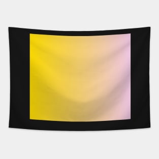 Beautiful Gradient Effect Tapestry