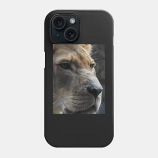 Lioness Phone Case