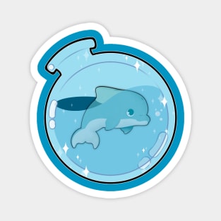 Dolphin Magnet