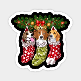 Beagles Socks Christmas Gifts Dogs Lovers Magnet