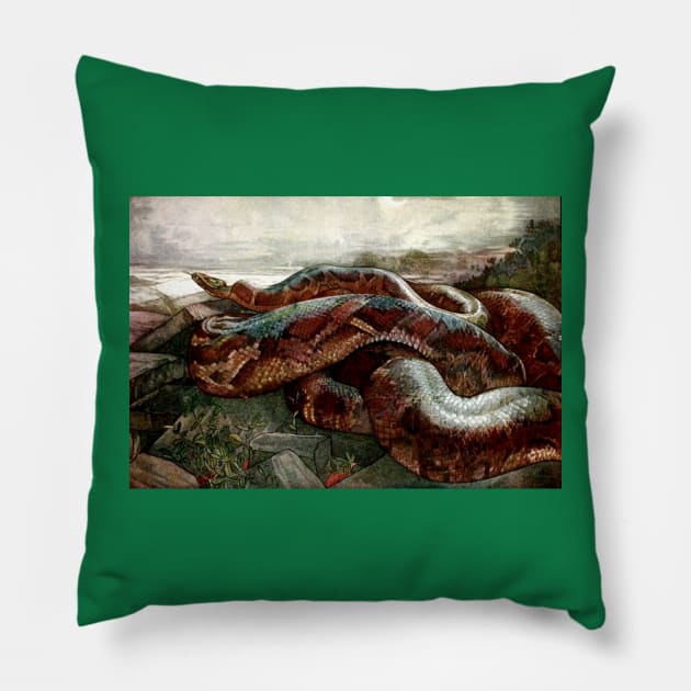 Jungle Book - Kaa the Python - Detmold Brothers Pillow by forgottenbeauty