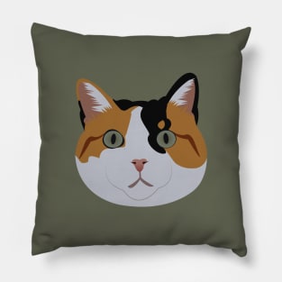 Cheeto The Calico Cat Pillow