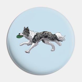 Running Blue Merle Border Collie with Frisbee Pin