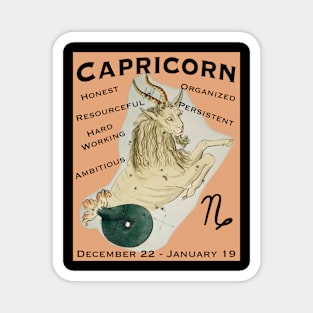 Capricorn positive traits t-shirts Magnet