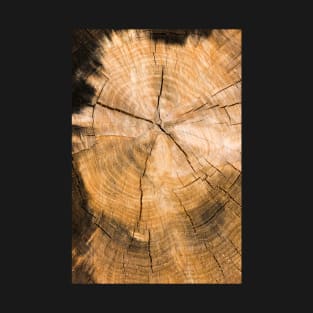 Wooden Tree Circle Texture T-Shirt