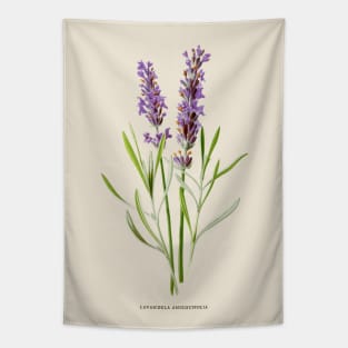 Lavender Antique Botanical Illustration Tapestry
