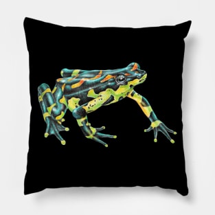 Harlequin Toad Pillow