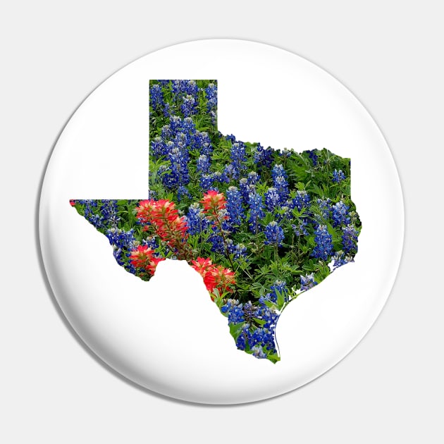 Red and Bluebonnets Blooming in Hillcountry fields in the state of Texas Pin by Star58