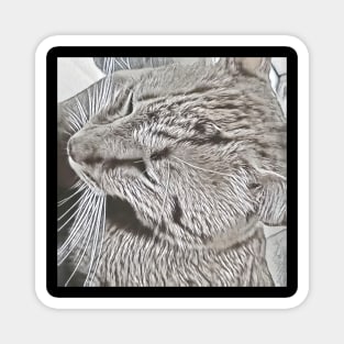 CAT PORTRAIT Magnet