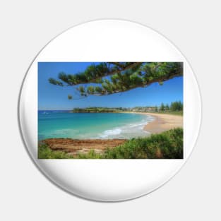 Bermagui & Pine Pin