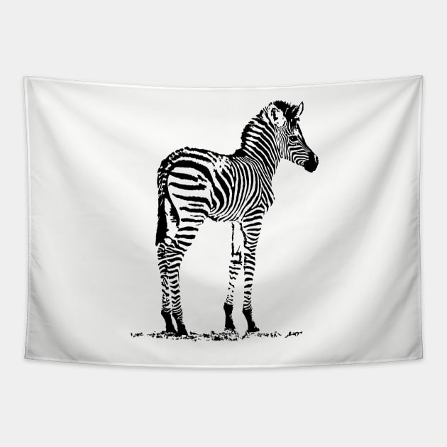 Charming Zebra Foal | African Wildlife Tapestry by scotch