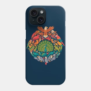 Aerial Rainbow Phone Case