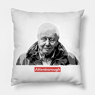 Sir David Attenborough / Supr3me Pillow