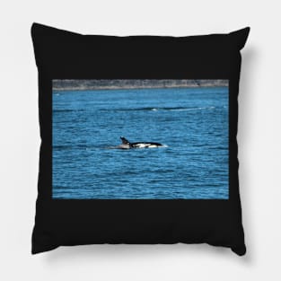 Killer Whale breaching the surface Pillow