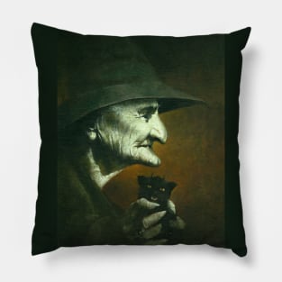 Old Witch And Familiar Pillow