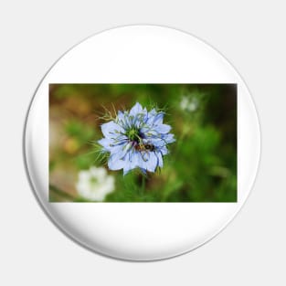 Blue Cornflower Pin