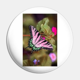 Pink Butterfly Pin