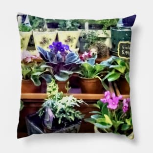 African Violets - African Violets For Sale Pillow