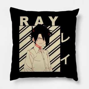 Ray Vintage Art Pillow