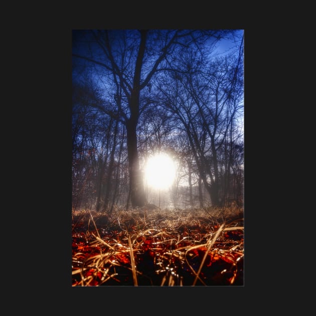 Autumn in Epping Forest by Nigdaw