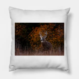 Early fall rut - White-tailed Deer Pillow