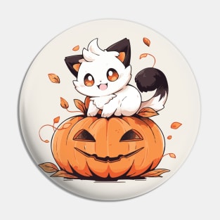 Black and white kitten sitting on a pumpkin Pin