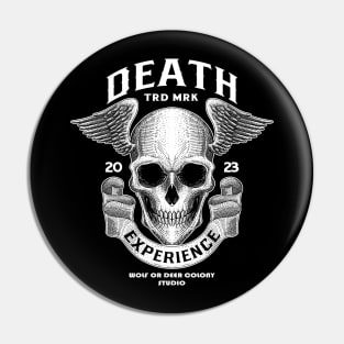 Skull Death Experience Pin