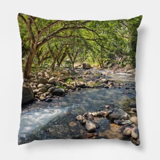 Mountain Stream, Jasaan, Misamis Oriental, Mindanao, Philippines Pillow