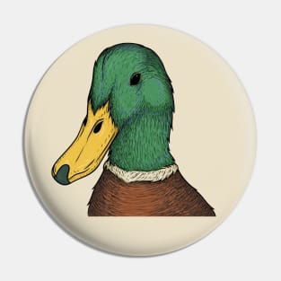 Mallard duck illustration Pin