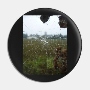 A Web of Droplets Pin