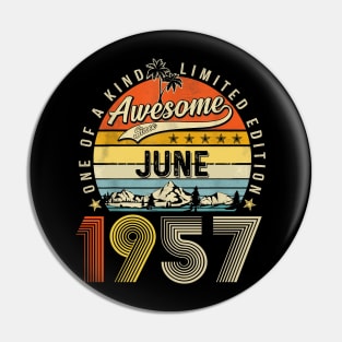 Awesome Since June 1957 Vintage 66th Birthday Pin