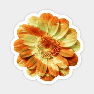 Golden Waves Flower Magnet