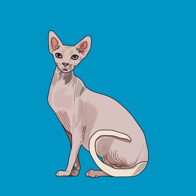 Sphynx cat cartoon illustration by Miss Cartoon