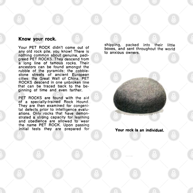 pet rock manual box by the haunted bathroom