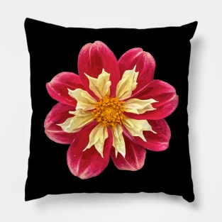 Pretty red yellow Dahlia Botanical Bee Flower Annual Garden Pillow