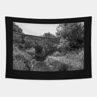 Brick bridge over the river Tapestry