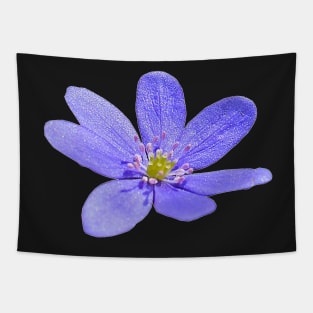 Liverflower Black Background Tapestry