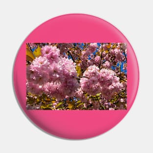 Profuse Sunlit Cherry Blossom Pin