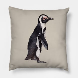 African Penguin Pillow