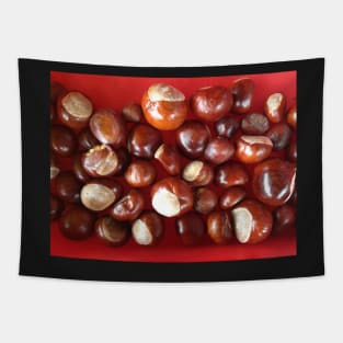 Conkers Tapestry