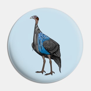 Vulturine guineafowl bird cartoon illustration Pin