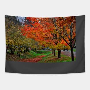 Bright Orange Fall Colors Tapestry